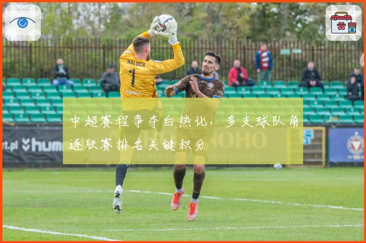 中超赛程争夺白热化，多支球队角逐联赛排名关键积分